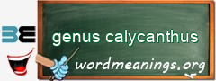 WordMeaning blackboard for genus calycanthus